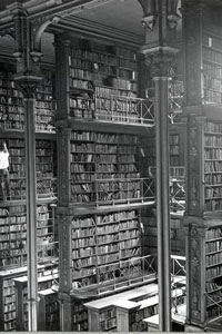 biblioteca-pubblica.jpg